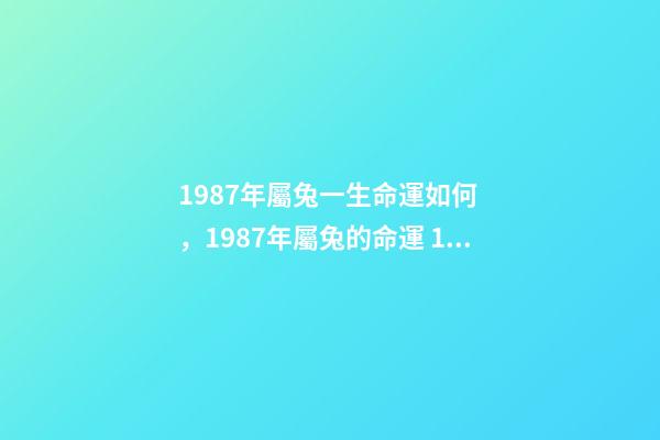1987年屬兔一生命運如何，1987年屬兔的命運 1987年屬兔是什么命